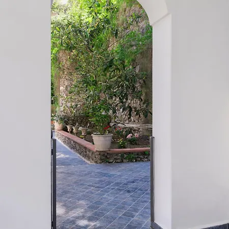 Carrino Twin بوسيتانو